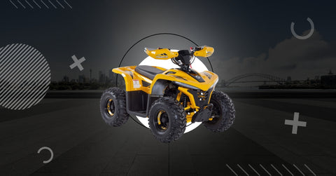 Quad Elettrici