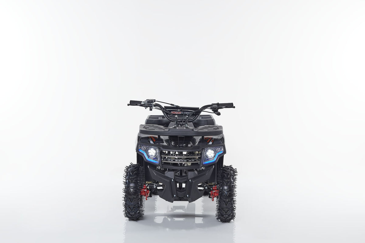Miniquad M4ES-R6