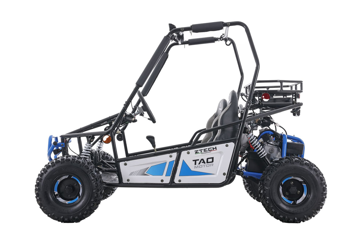 Buggy TRITON 125