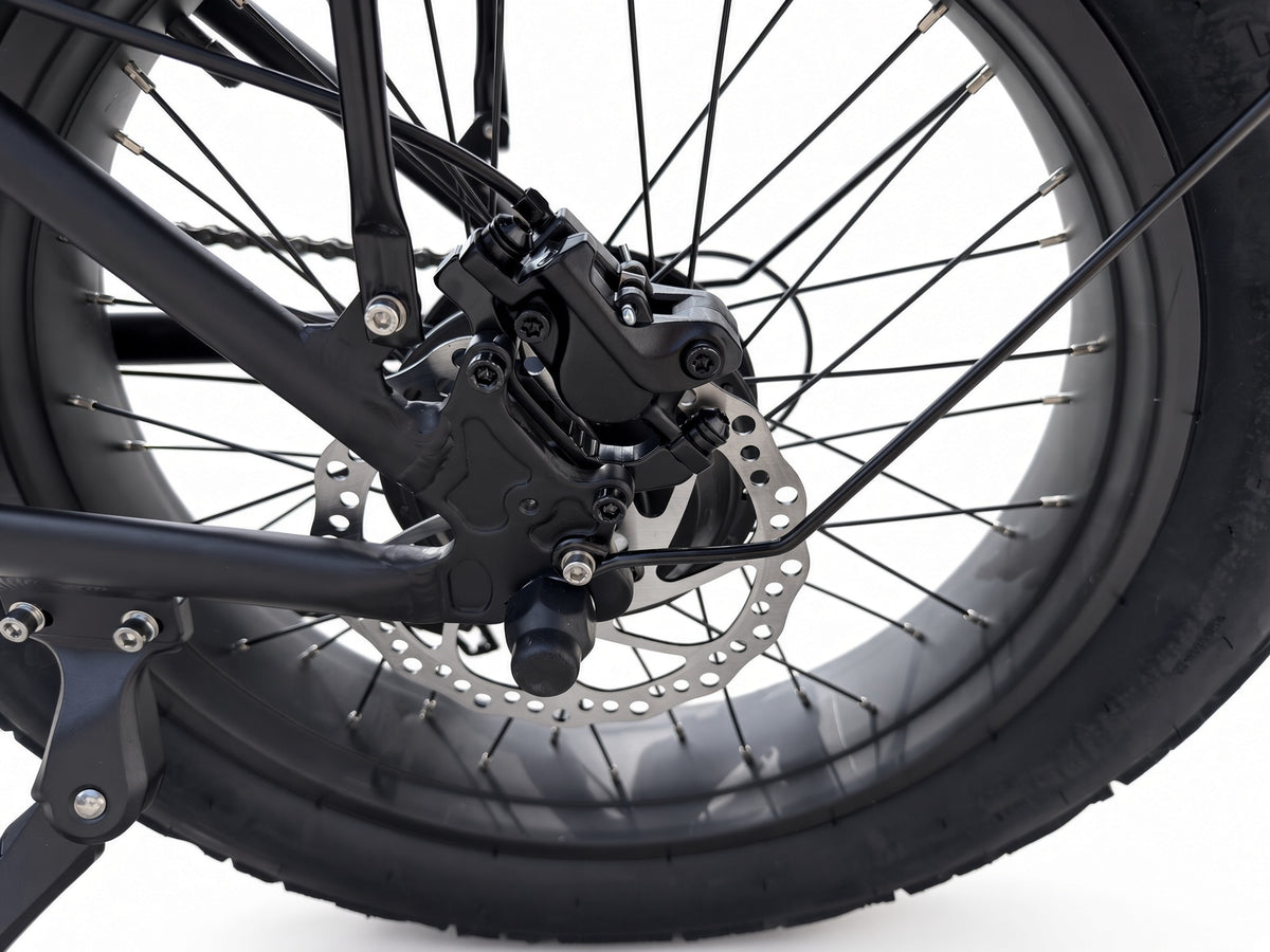 Bici Elettrica - ZT-89XM