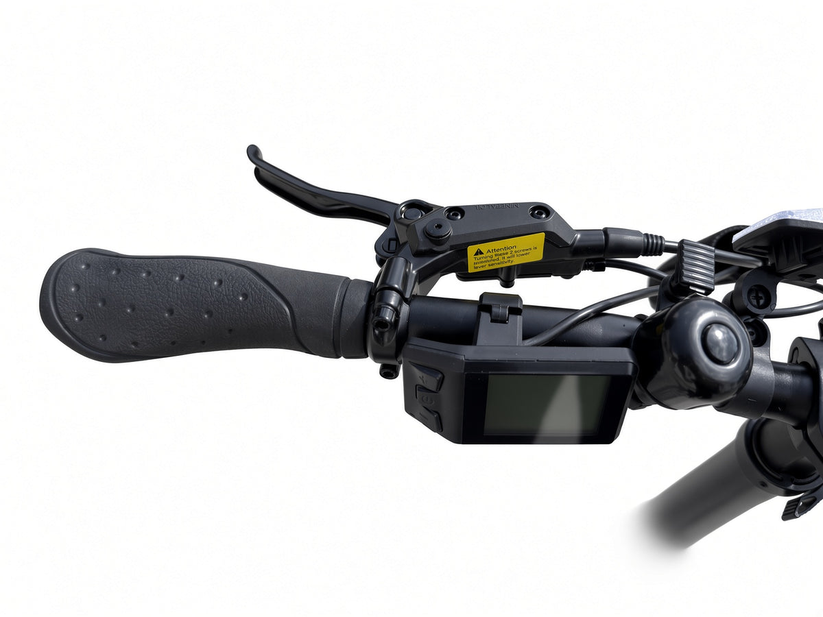 Bici Elettrica - ZT-89XM
