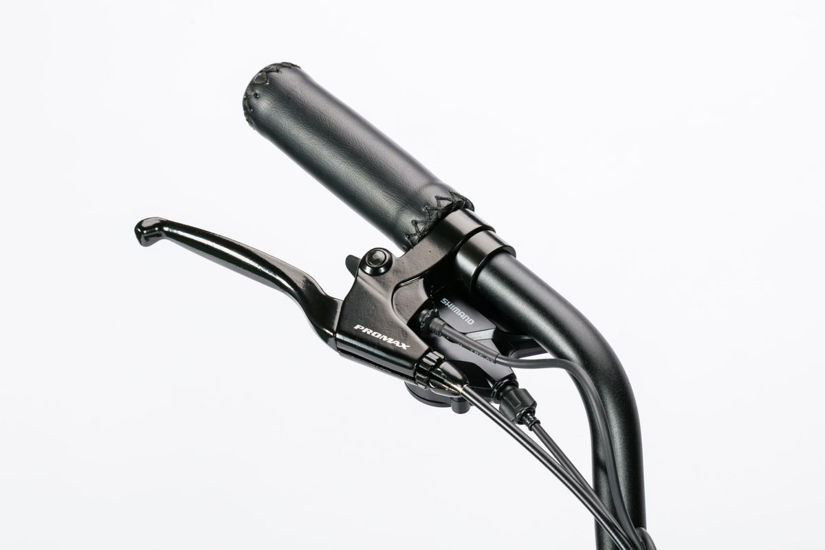 Bici Elettrica LEGACY 3.0 - ZT-75A