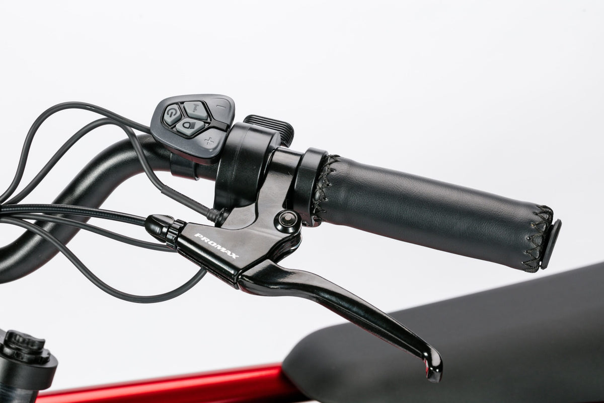 Bici Elettrica LEGACY 3.0 - ZT-75A