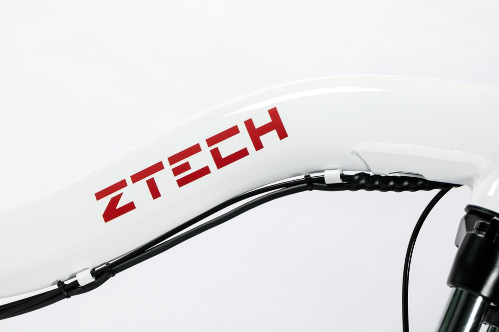 Bici Elettrica FOLDING ETNA - ZT-89A