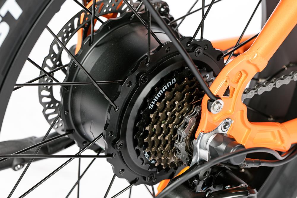 Bici Elettrica LEGACY 4.0 - ZT-75B