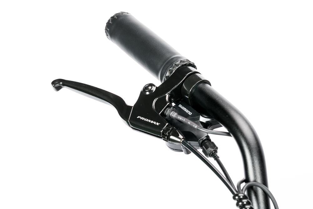 Bici Elettrica LEGACY 4.0 - ZT-75B