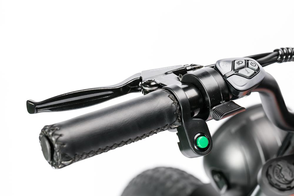 Bici Elettrica LEGACY 4.0 - ZT-75B