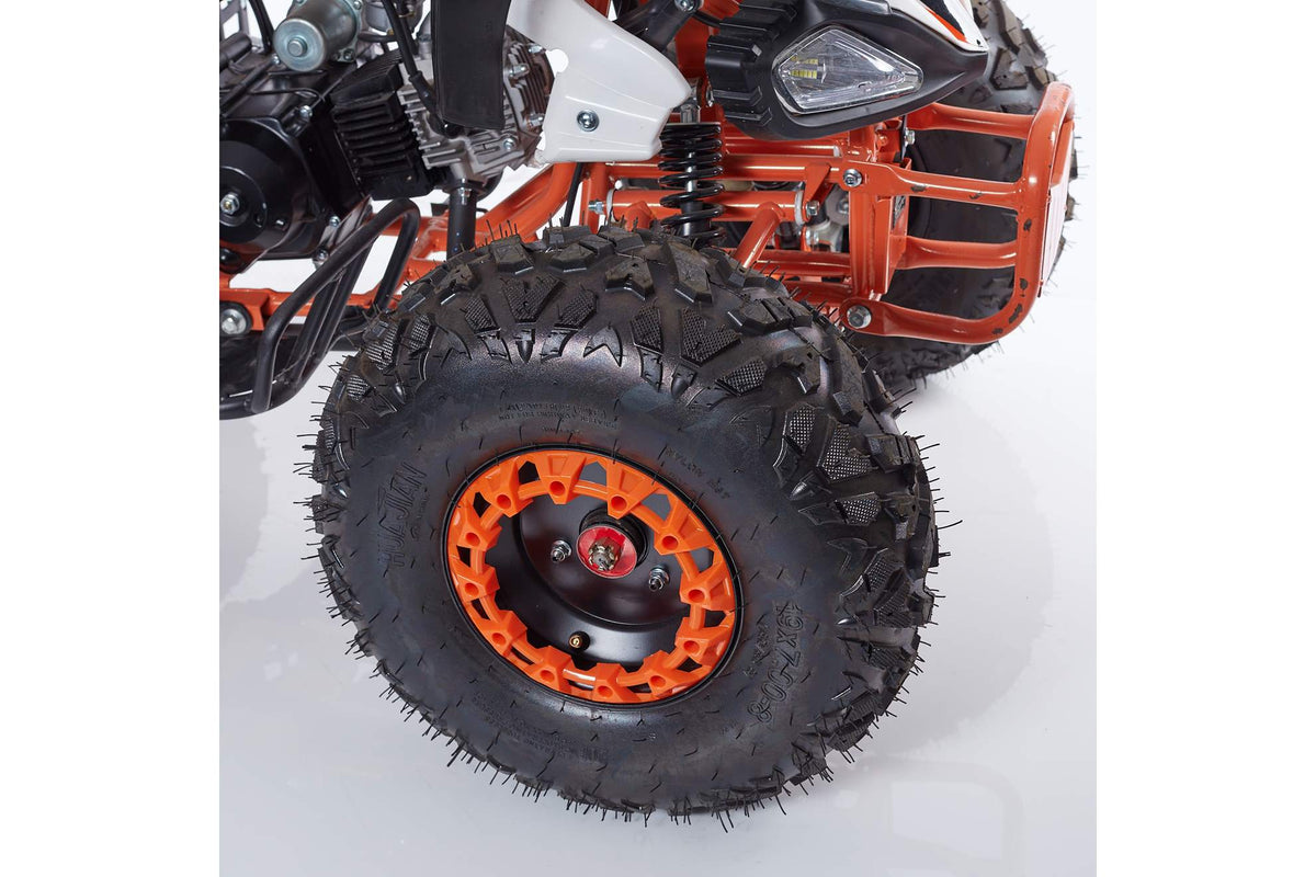 Quad NEW SCORPION R8 - 004-R8