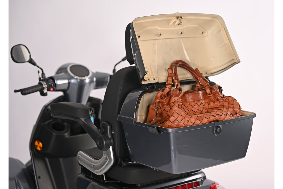 Veicolo per invalidi TRILUX 4.0 - ZT-19M