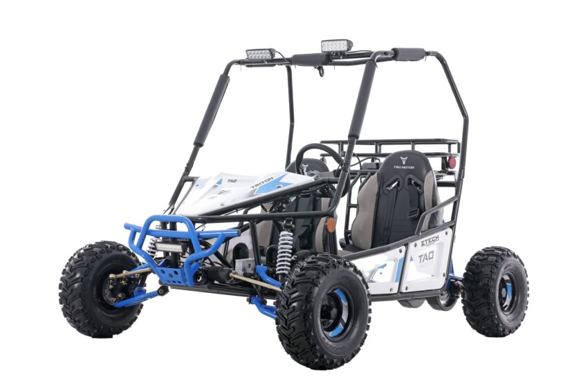 Buggy TRITON - immagine 3